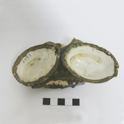 Primera imagen del registro Figurilla
