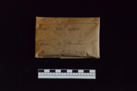Primera imagen del registro Muestra Mineral en Polvo