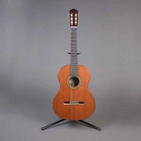 Primera imagen del registro Guitarra