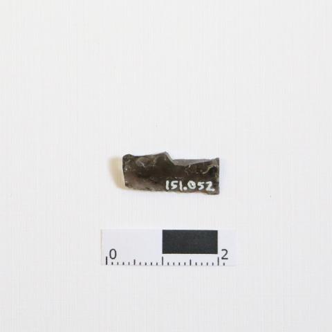 Primera imagen del registro Punta