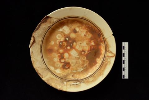 Primera imagen del registro Plato llano