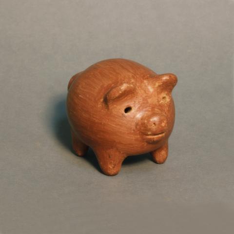 Primera imagen del registro Cerdo o chanchito