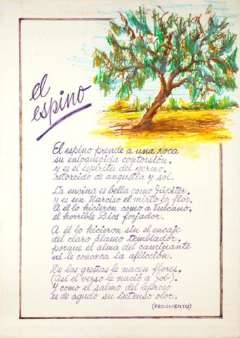 Primera imagen del registro El Espino