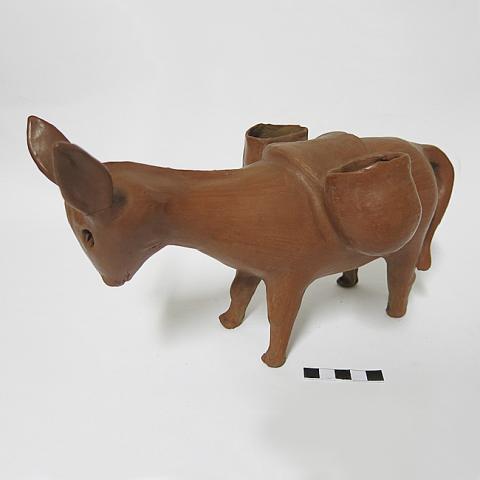 Primera imagen del registro Animal de cargar, asno.