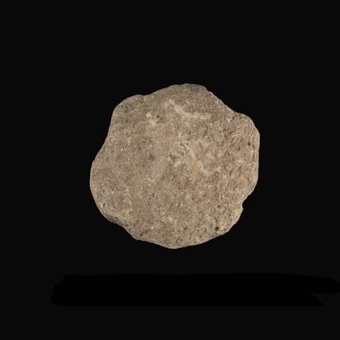 Primera imagen del registro Lito