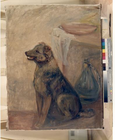 Primera imagen del registro Balu, retrato de un perro
