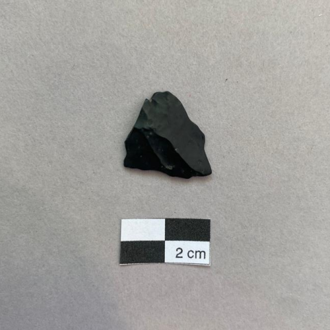 Primera imagen del registro Lasca