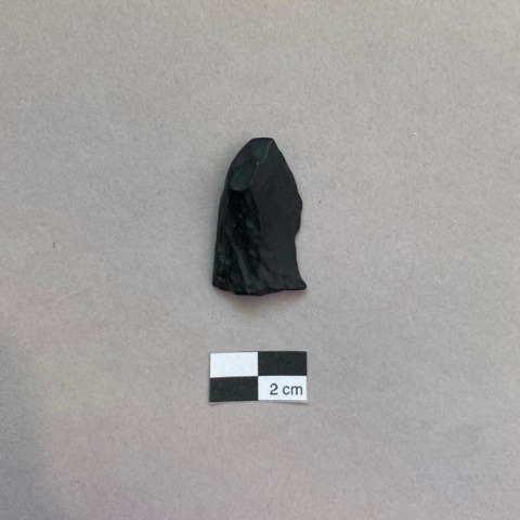 Primera imagen del registro Lasca