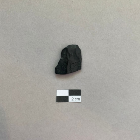 Primera imagen del registro Lasca