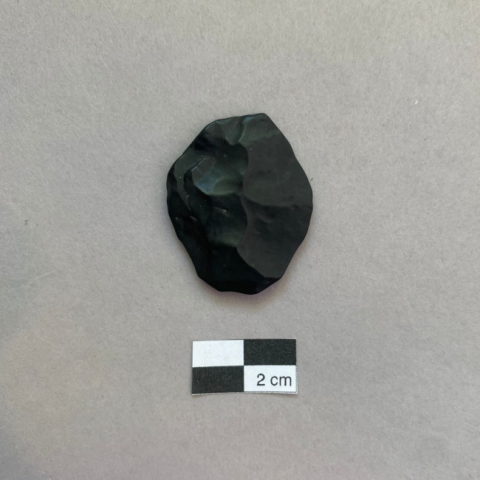 Primera imagen del registro Lasca