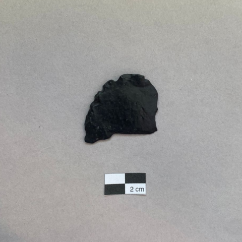 Primera imagen del registro Lasca