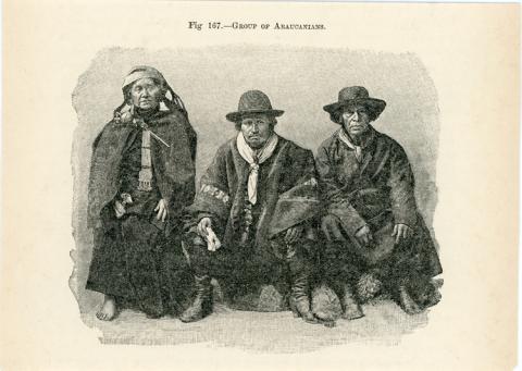 Primera imagen del registro Group of Araucanians