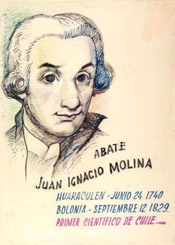 Primera imagen del registro Retrato del Abate Juan Ignacio Molina