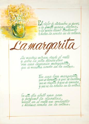 Primera imagen del registro La Margarita