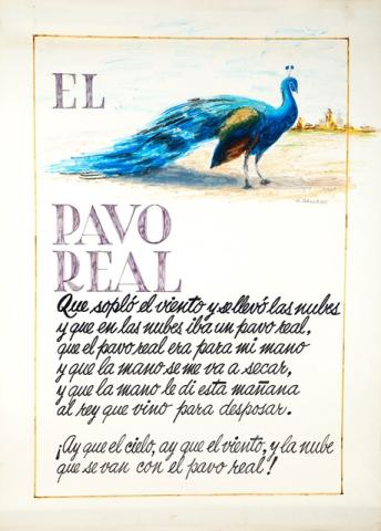 Primera imagen del registro El pavo real