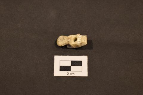 Primera imagen del registro Tortera