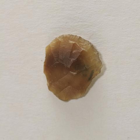 Primera imagen del registro Raspador