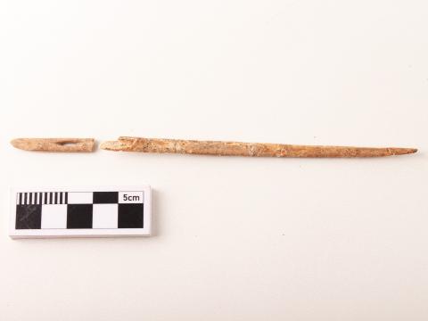 Primera imagen del registro Aguja (arqueológico y etnográfico)