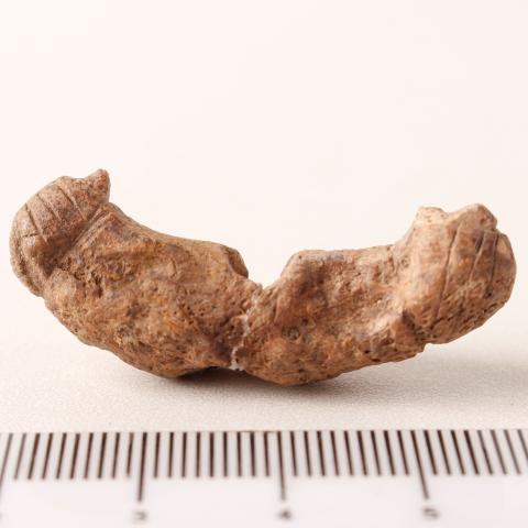 Primera imagen del registro Tortera