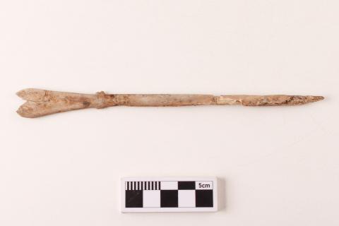 Primera imagen del registro Espátula