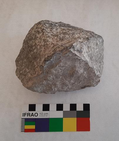 Primera imagen del registro Tajador