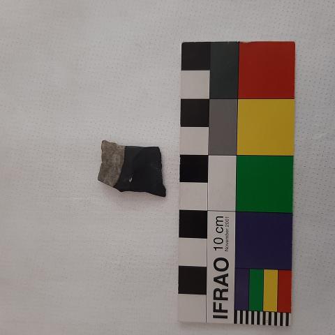 Primera imagen del registro Lasca
