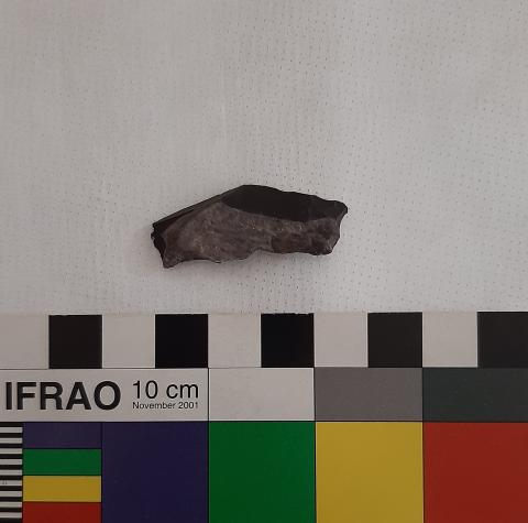 Primera imagen del registro Lasca
