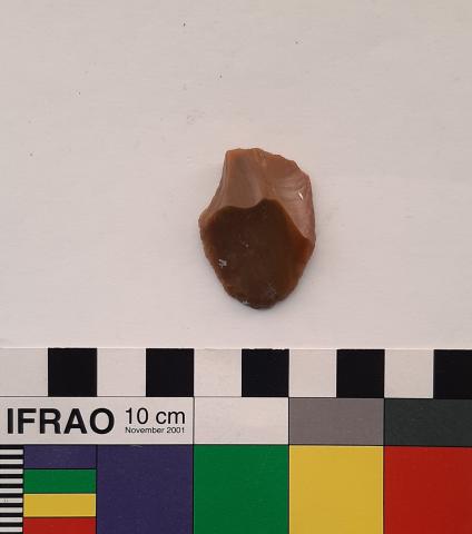 Primera imagen del registro Raspador