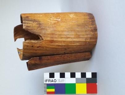 Primera imagen del registro Bolsa (contenedor)