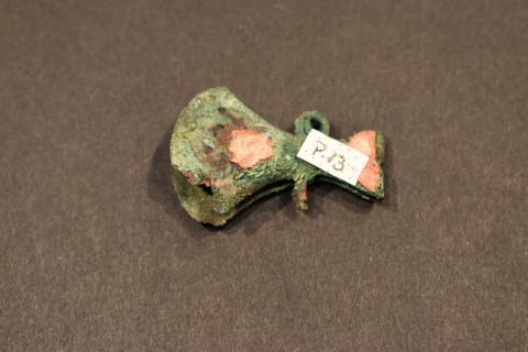 Primera imagen del registro Pinza