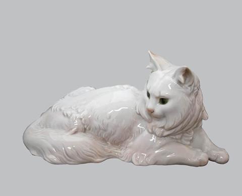 Primera imagen del registro Gato