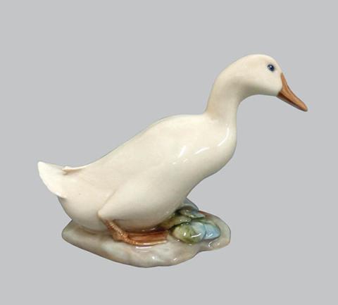 Primera imagen del registro Pato