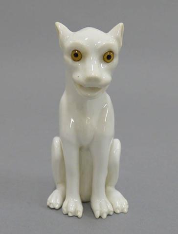 Primera imagen del registro Felino