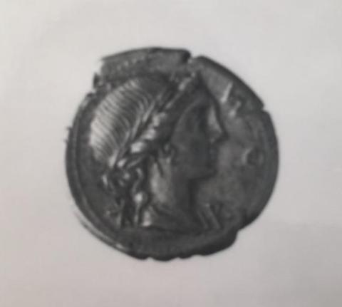 Primera imagen del registro Aemilia Lepidus