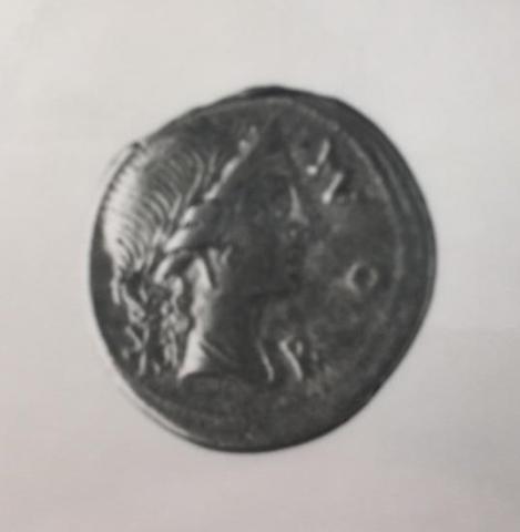 Primera imagen del registro Aemilia Lepidus