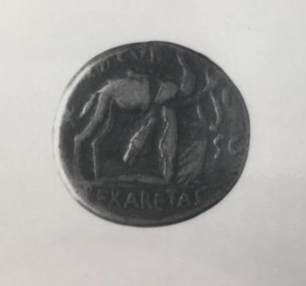 Primera imagen del registro Aemilia Lepidus