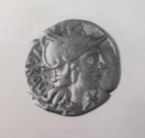 Primera imagen del registro Antestia Graculus