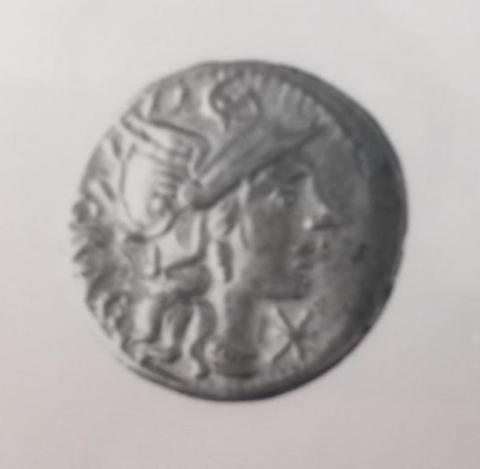 Primera imagen del registro Antestia Graculus