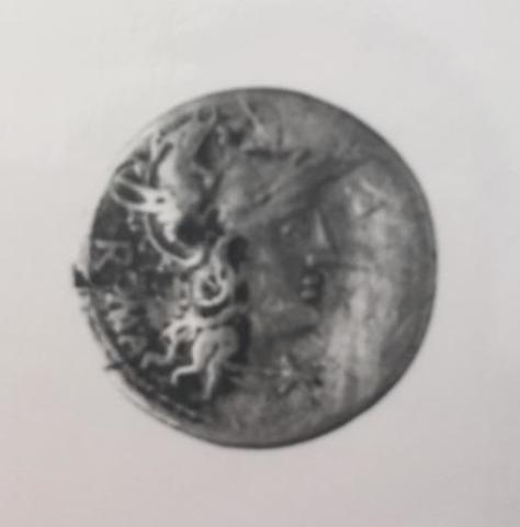 Primera imagen del registro Caecilia Matellus