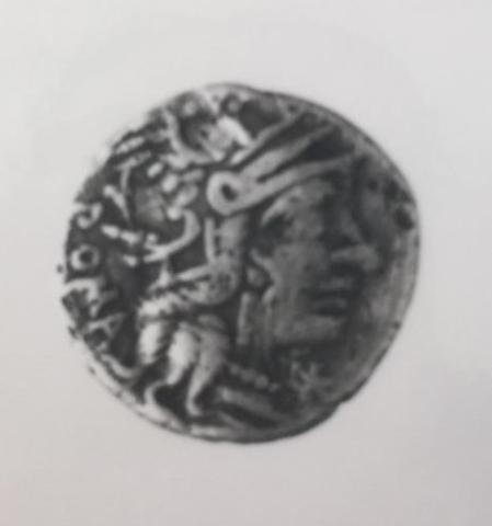 Primera imagen del registro Calidia
