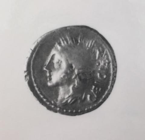 Primera imagen del registro Cassia