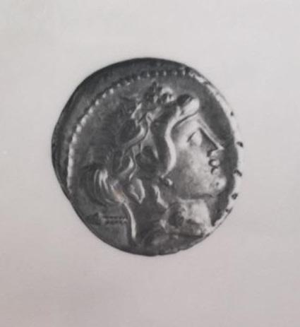 Primera imagen del registro Cassia