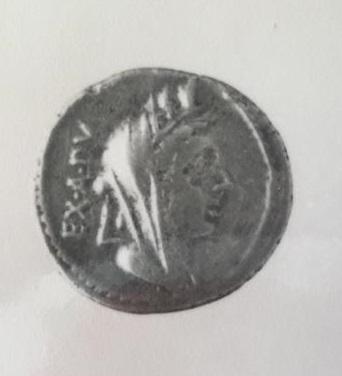 Primera imagen del registro DENARIO