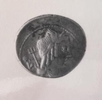 Primera imagen del registro DENARIO