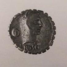 Primera imagen del registro ROSCIA FABATUS