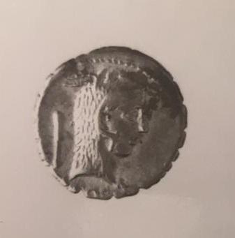 Primera imagen del registro DENARIO