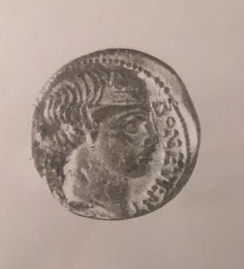 Primera imagen del registro DENARIO