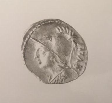 Primera imagen del registro DENARIO