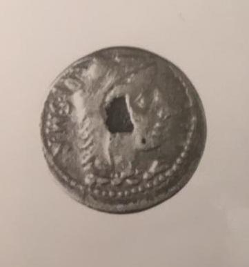 Primera imagen del registro DENARIO