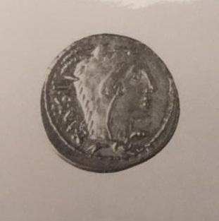 Primera imagen del registro DENARIO